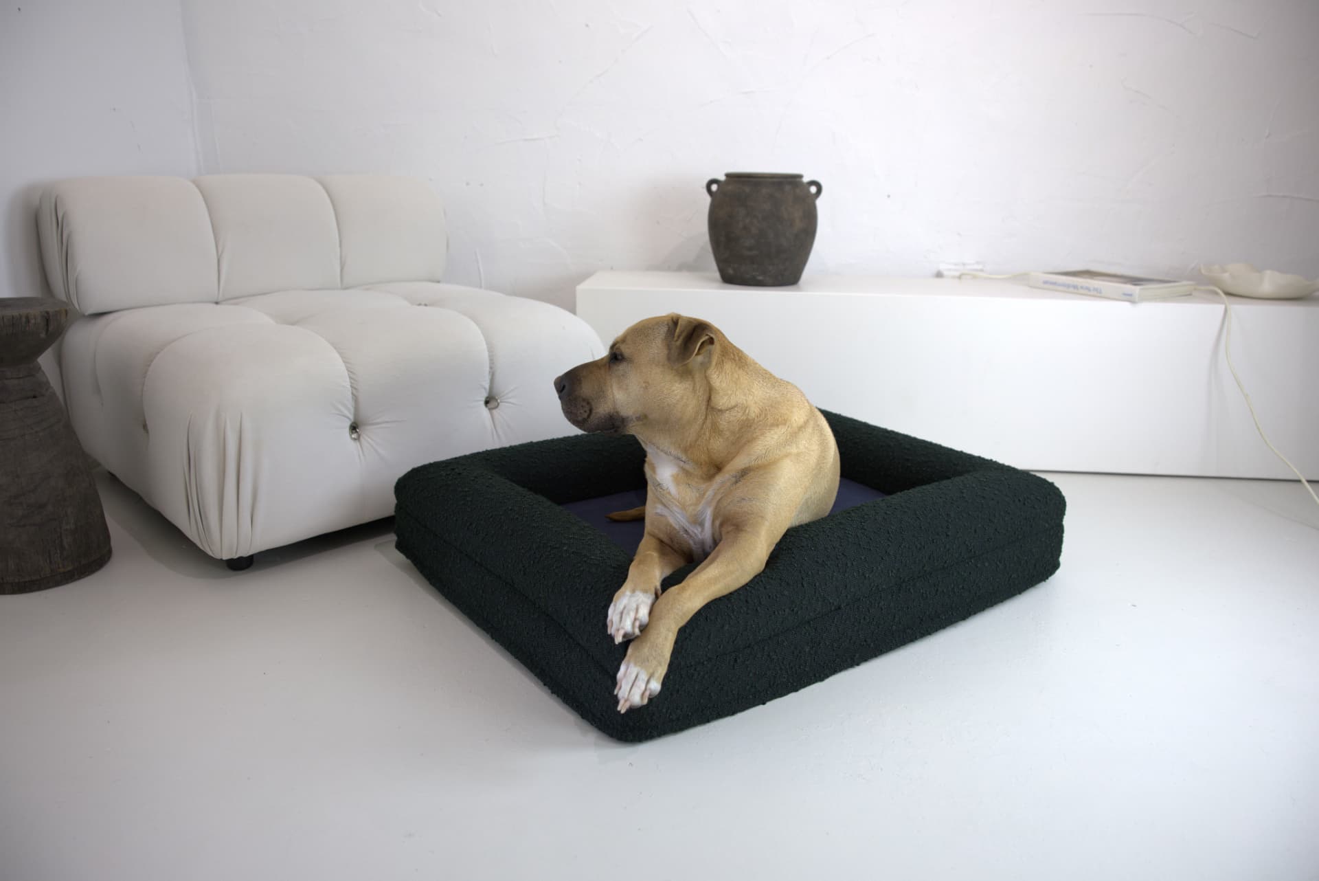 Grounding Heart pet bed on Instagram